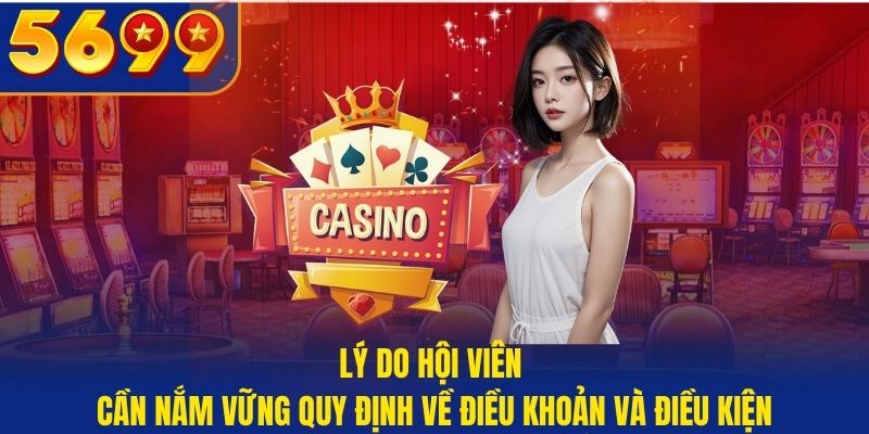 Lý do hội viên cần nắm vững quy định về điều khoản và điều kiện