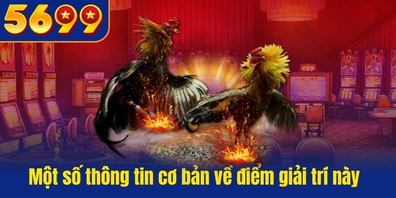 Một số thông tin cơ bản về điểm giải trí này