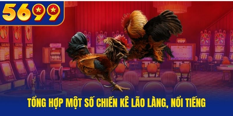 Tổng hợp một số chiến kê lão làng, nổi tiếng